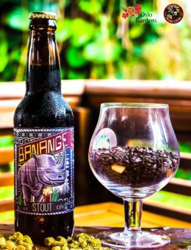 Stout Beer