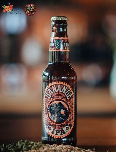 IPA Beer