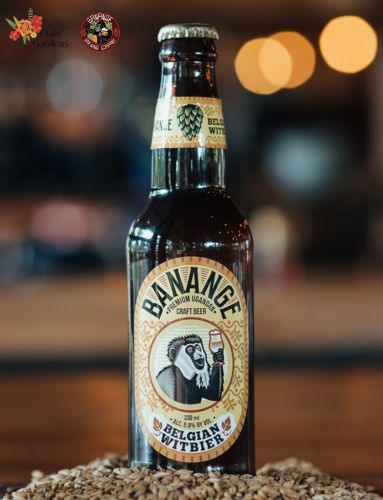 Pilsner Beer